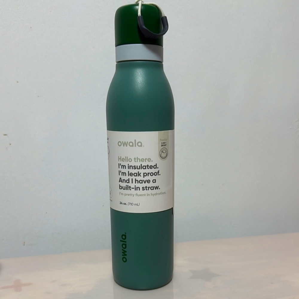 Owala Insulated 24oz FreeSip Stainless Steel Loop Water Bottle - Green Seas